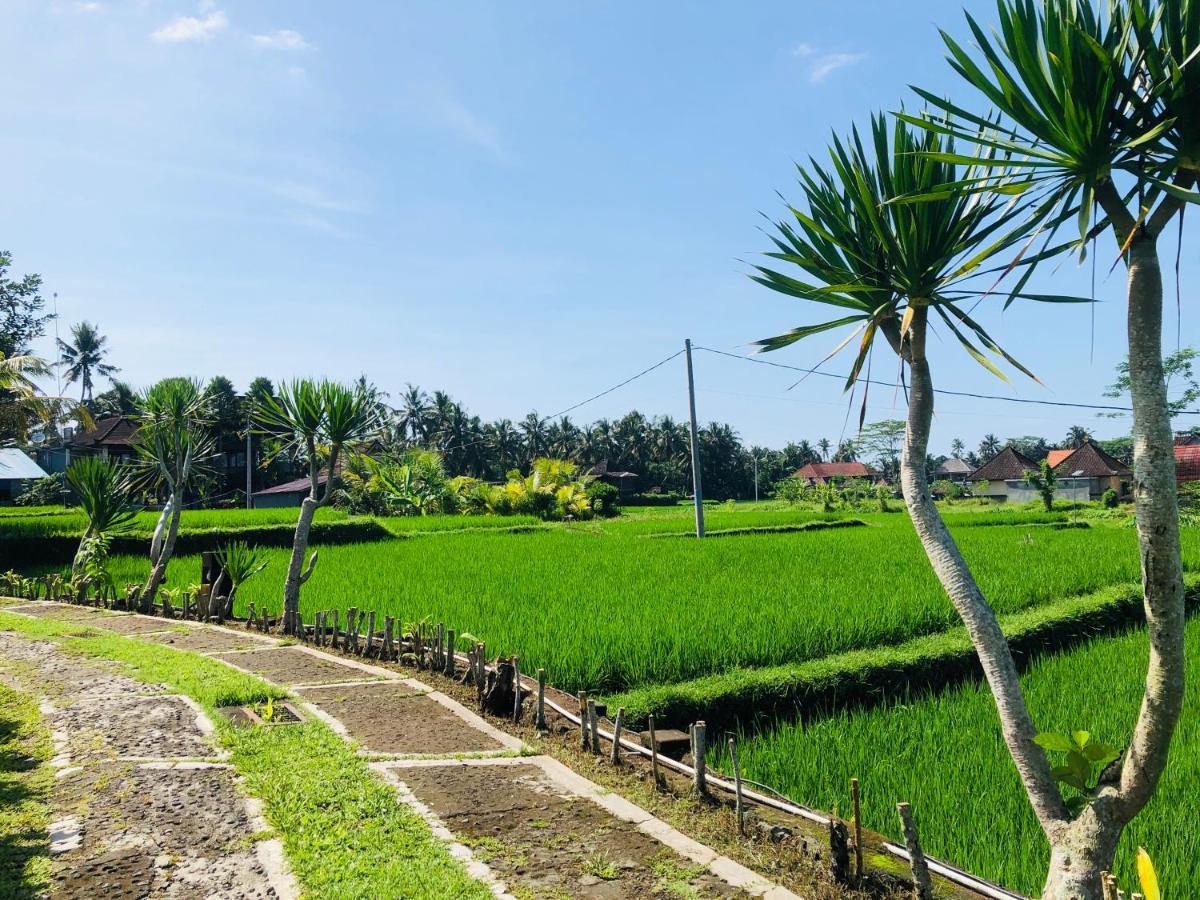 Jj And Ubud