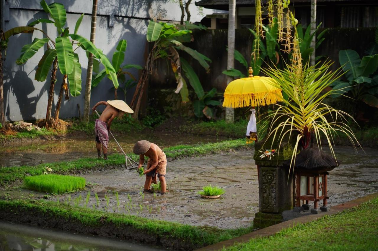 Villa Umae Ubud