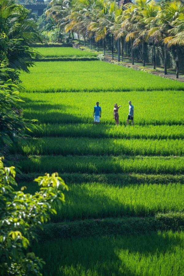 Adiwana Bisma Ubud