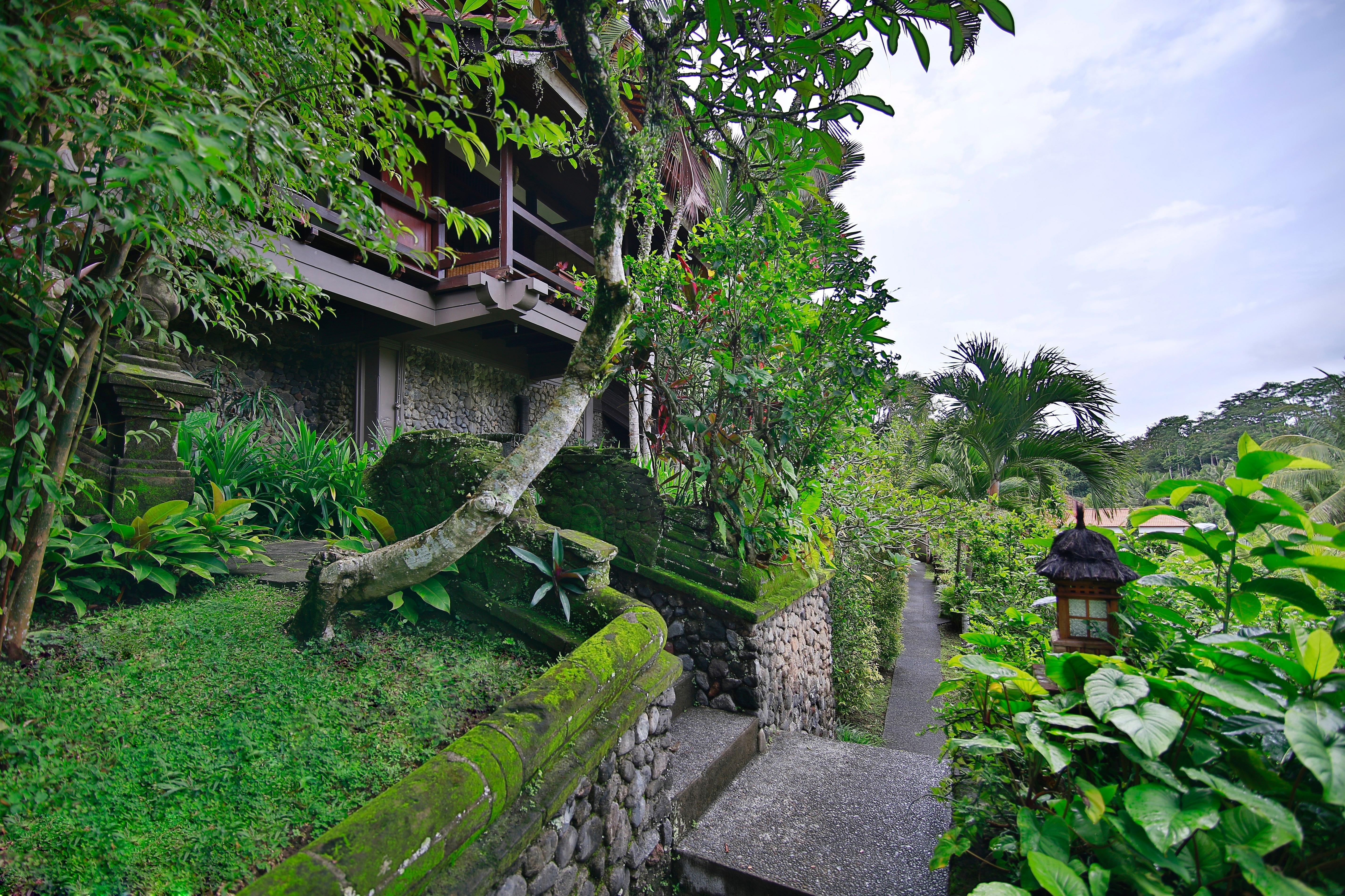 Hotel Bali Spirit And Spa, Ubud (Bali)