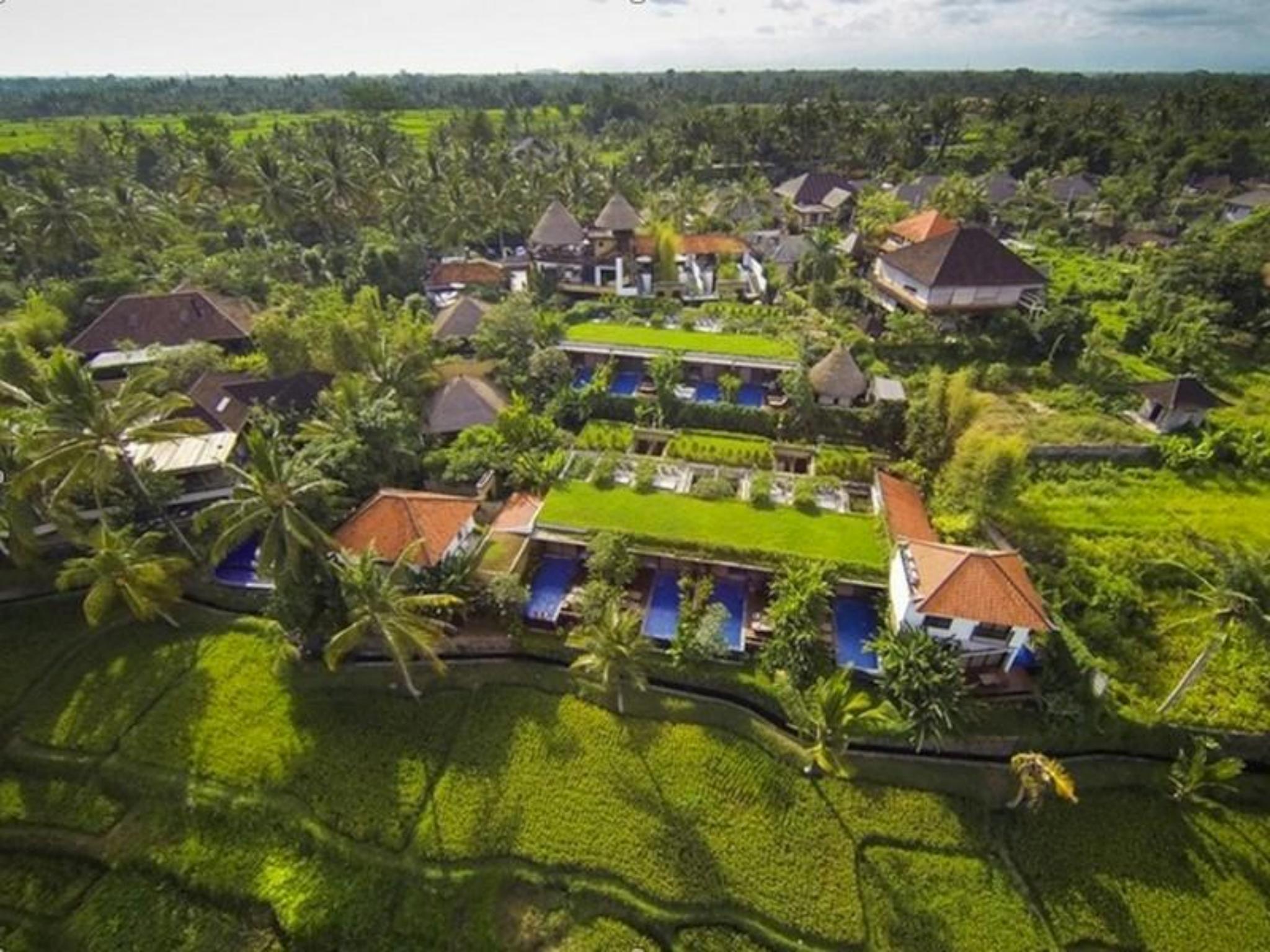 Powered By Archipelago Resor Ubud (Bali)