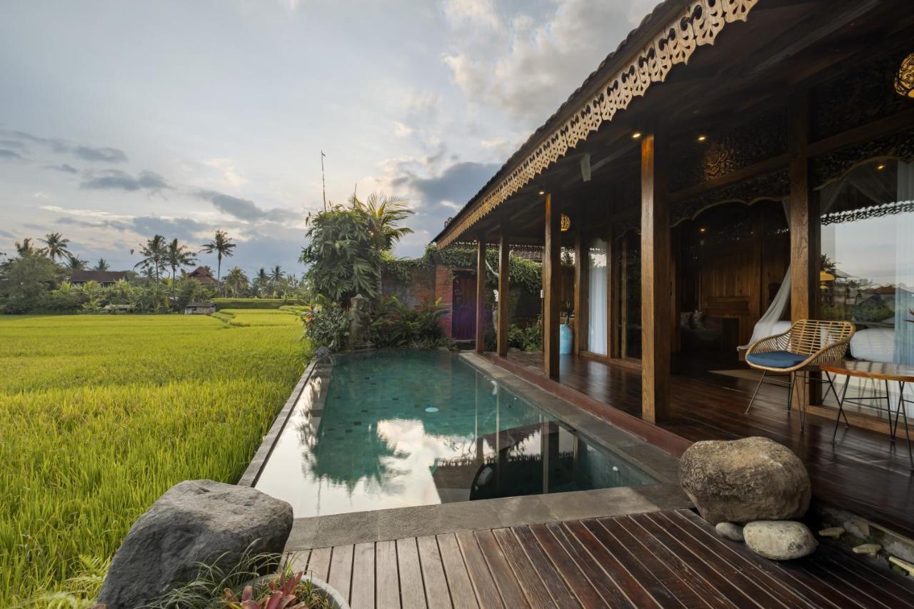 Villa Airsania Antique Ubud (Bali)