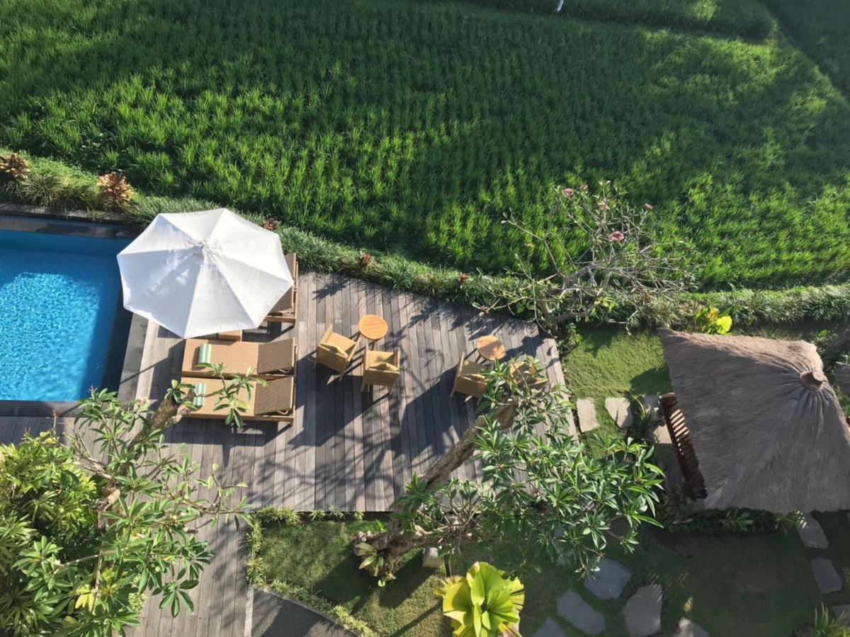 Byasa Guest house 3*