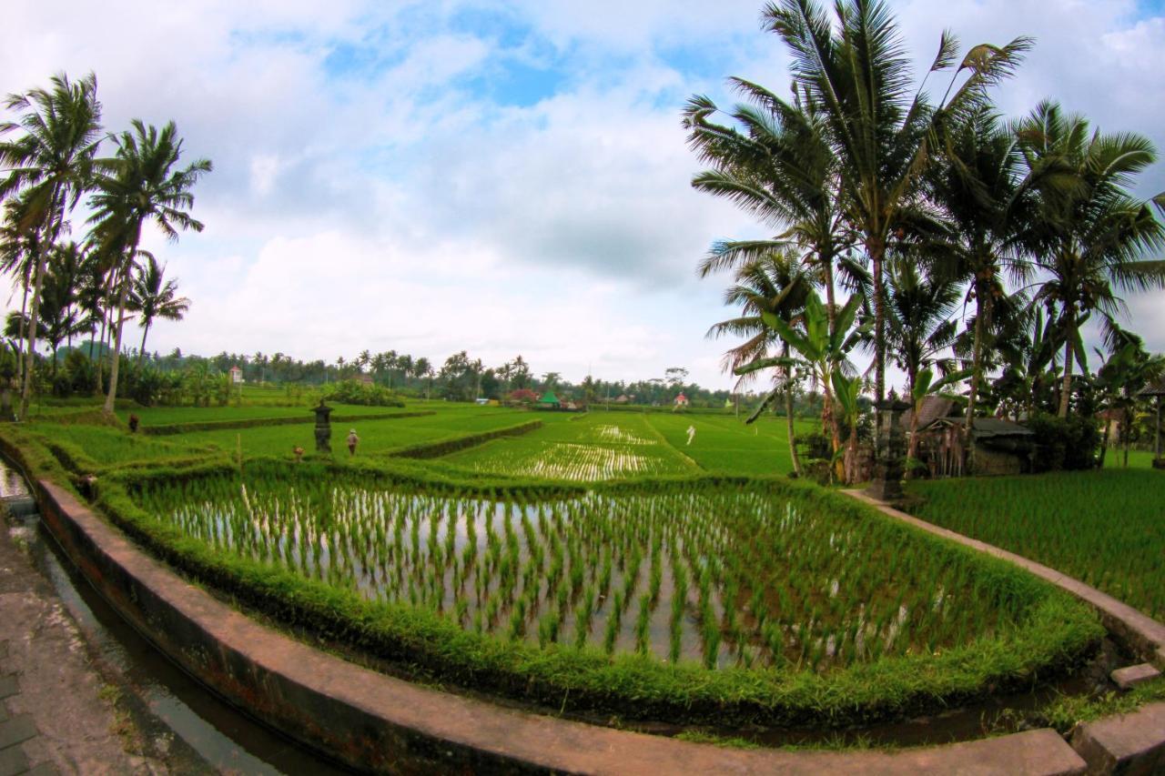 Vinarya Ubud (Bali)