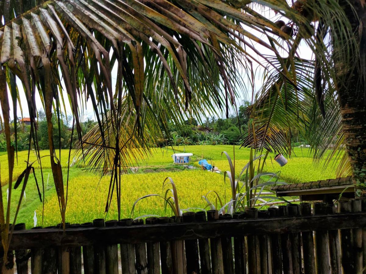 Kakau 2 - Villa