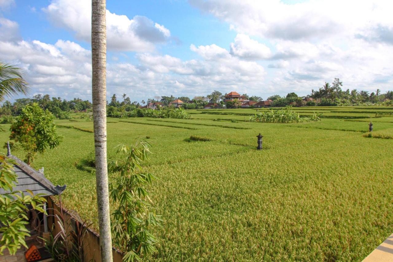 Kubu Sari * Ubud (Bali)