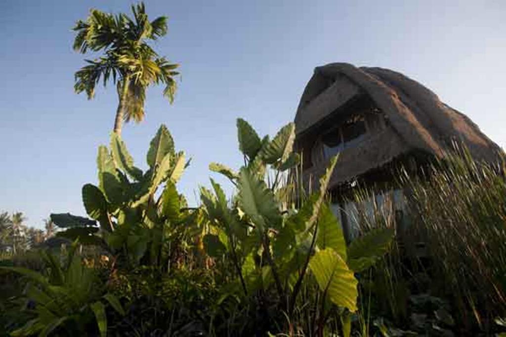 Hidden Yone Village Ferienpark Ubud