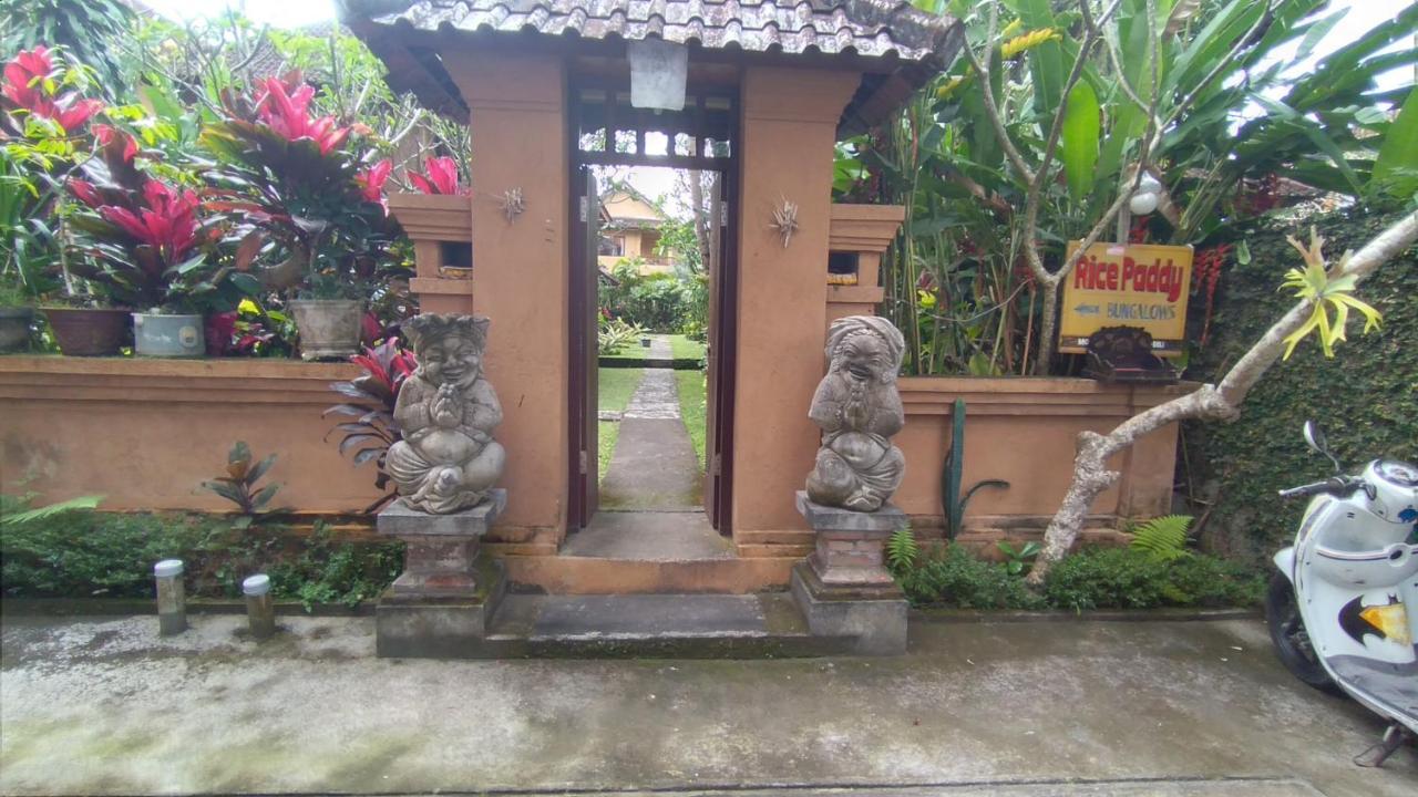 Rice Paddy Bungalow Homestay *