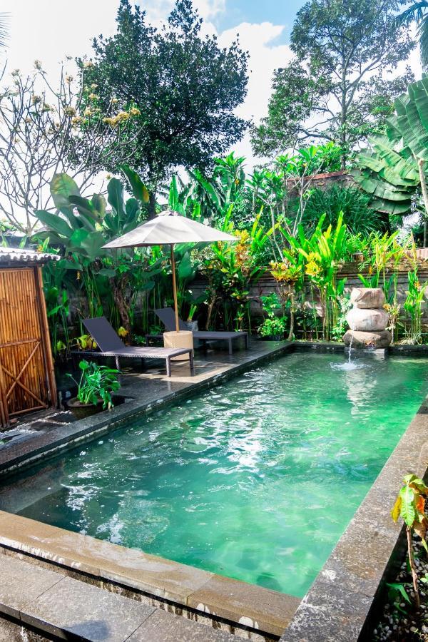 Sandora With Private Pool By Supala *