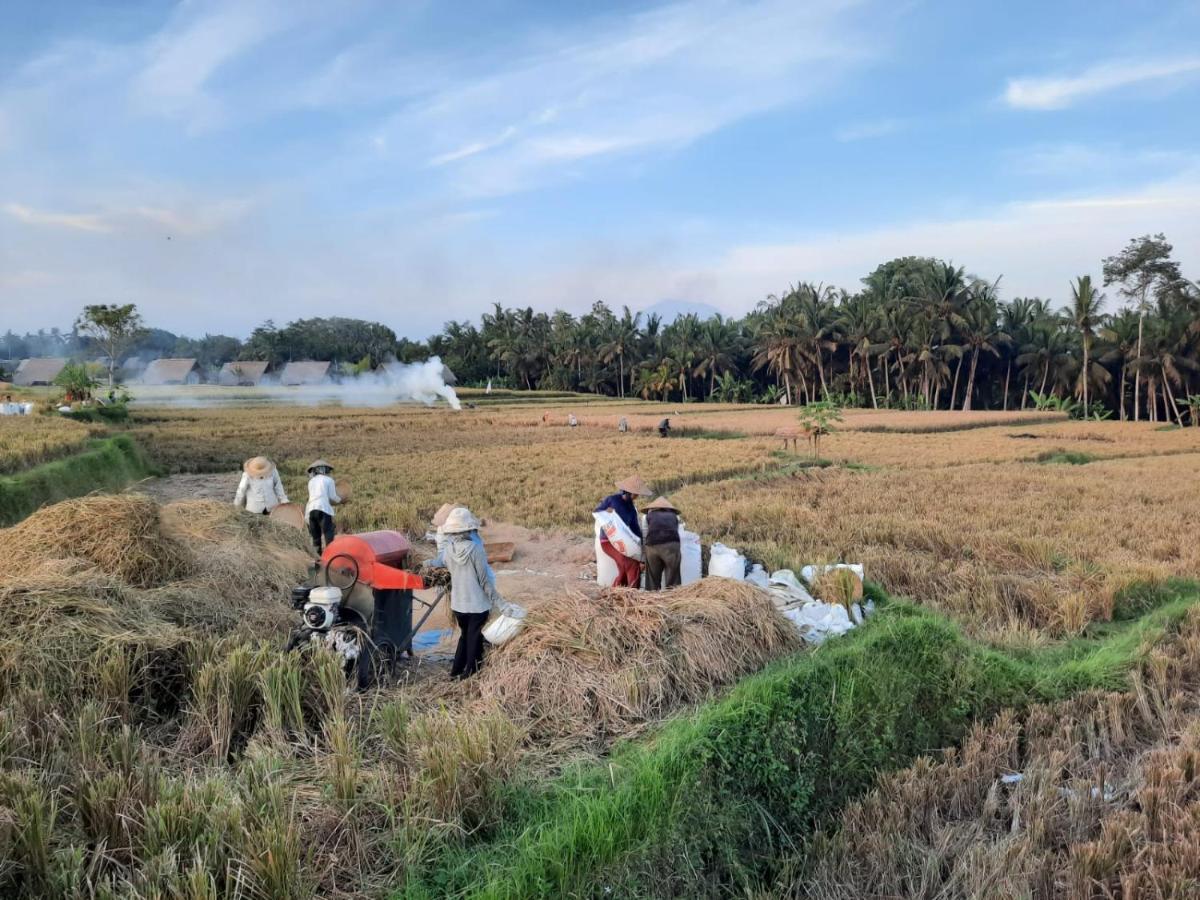 Gandalangu Ubud-dikelilingi Hamparan Sawah Lodge Ubud (Bali)