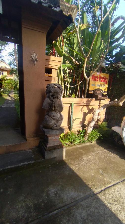Rice Paddy Bungalow *