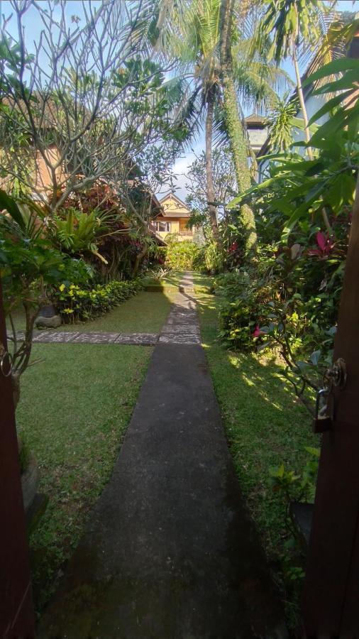 Rice Paddy Bungalow Homestay