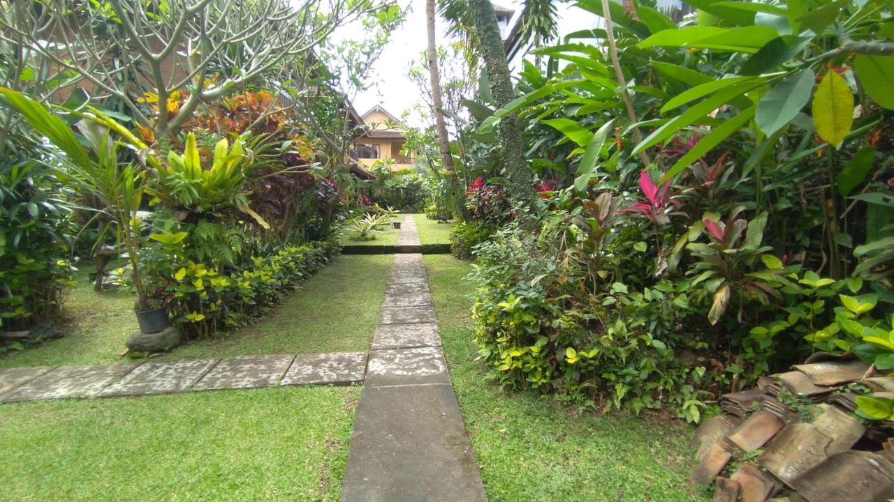 Rice Paddy Bungalow Homestay