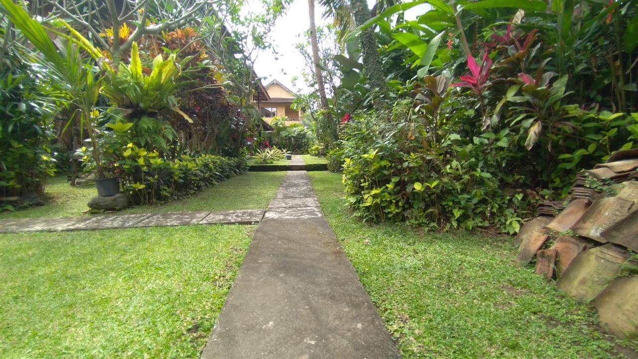 Rice Paddy Bungalow