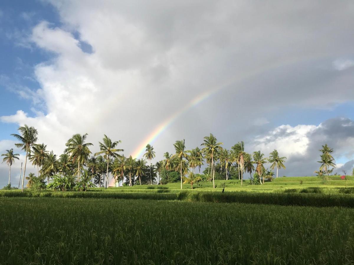 Sunset Pandawa Homestay Ubud (Bali)