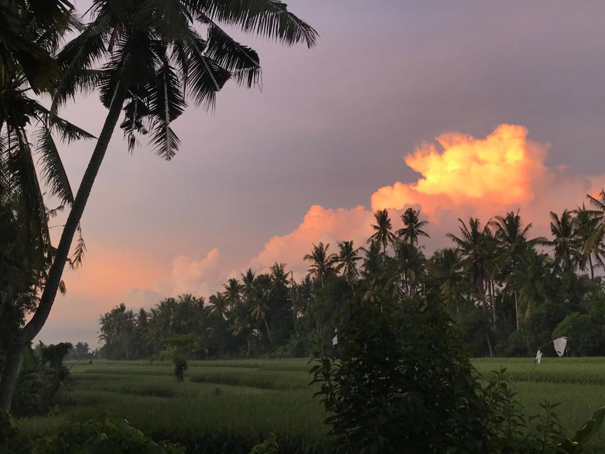 Sunset Pandawa Homestay Ubud (Bali)