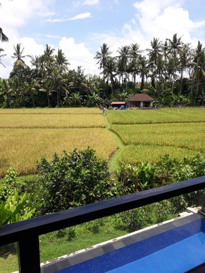 Homestay Sunset Pandawa Ubud (Bali)