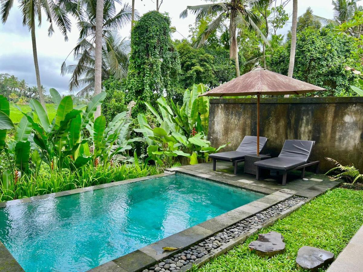 Kubu Bali Baik & - Chse Certified *