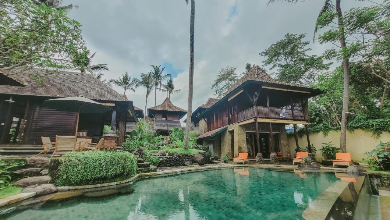 Villa Amaru *