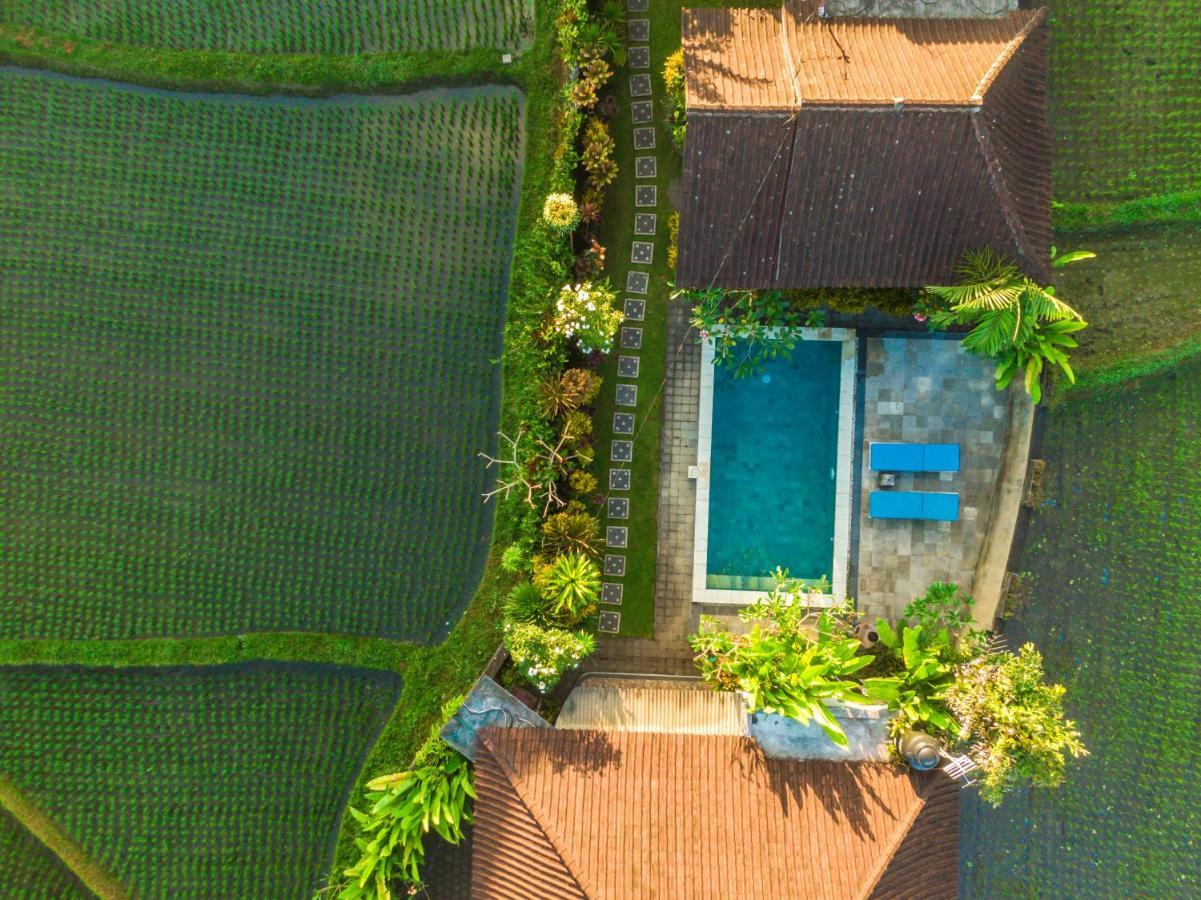 Villa Glassy By Pramana Villas *