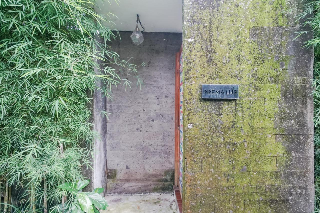 Prema Uja * Ubud