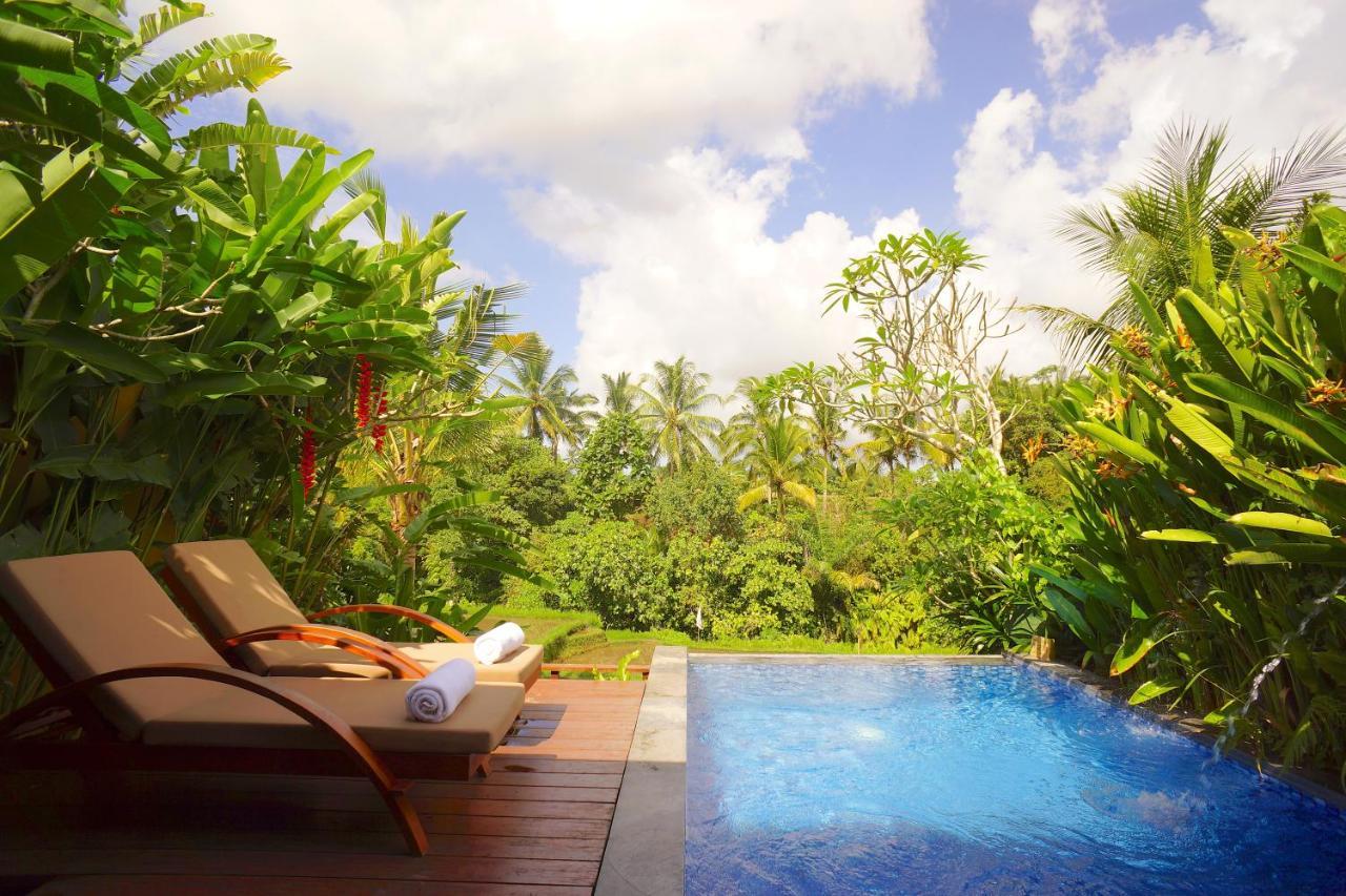 Powered By Archipelago 4* Ubud (Bali)