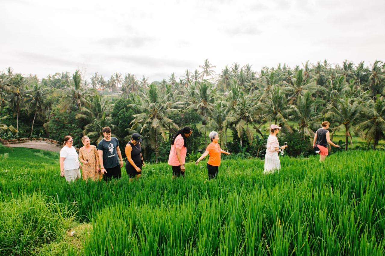 Soulshine And Retreat Resort