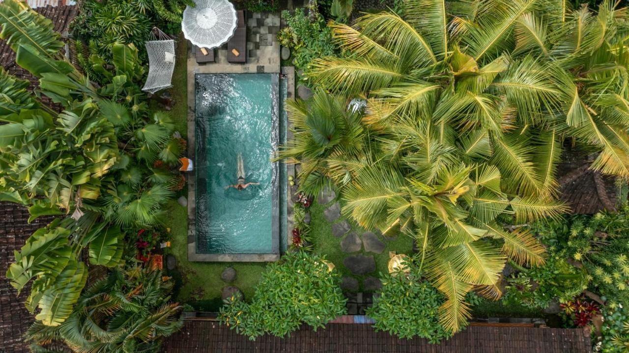 The Gardener's Villa