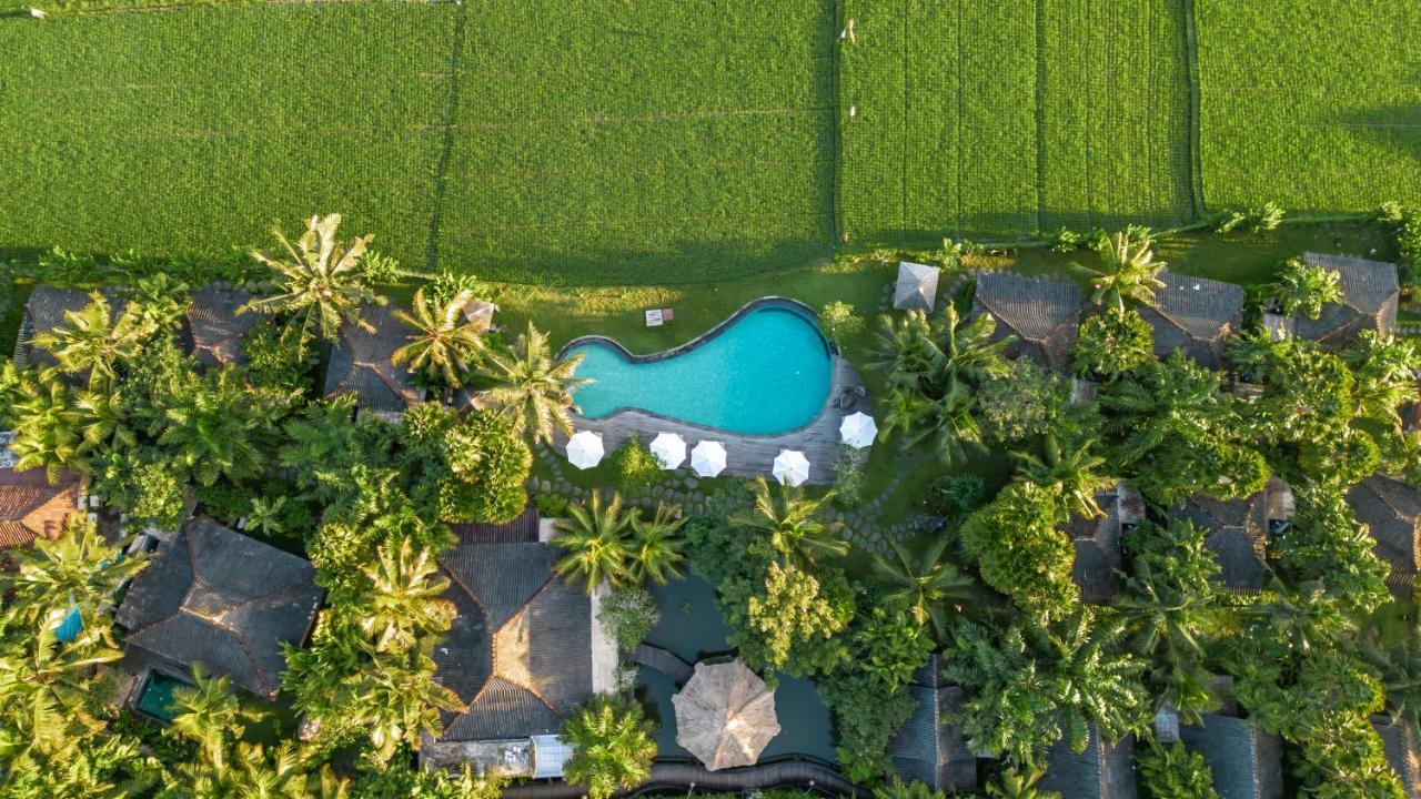 Arya * Ubud