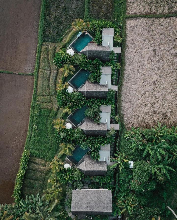 Vila Lasamana By Pramana