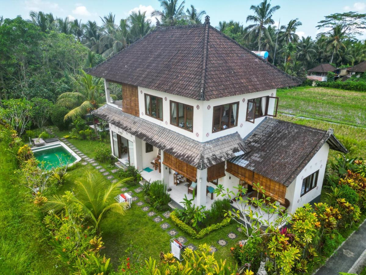 Accommodatie bij particulieren Buddha Ubud
