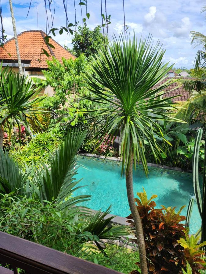 Buda Amitaba Guest house *