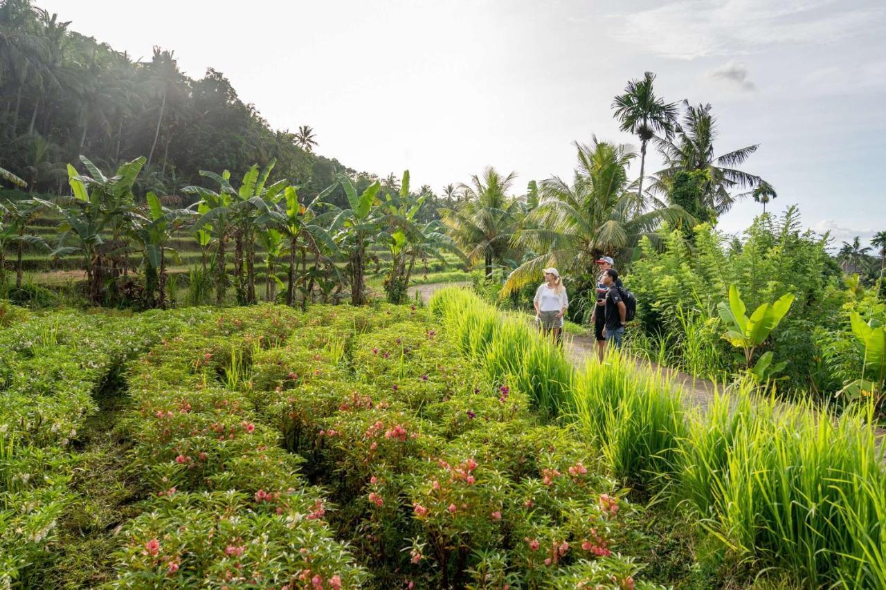 Khemah mewah Kaura Bali 4*