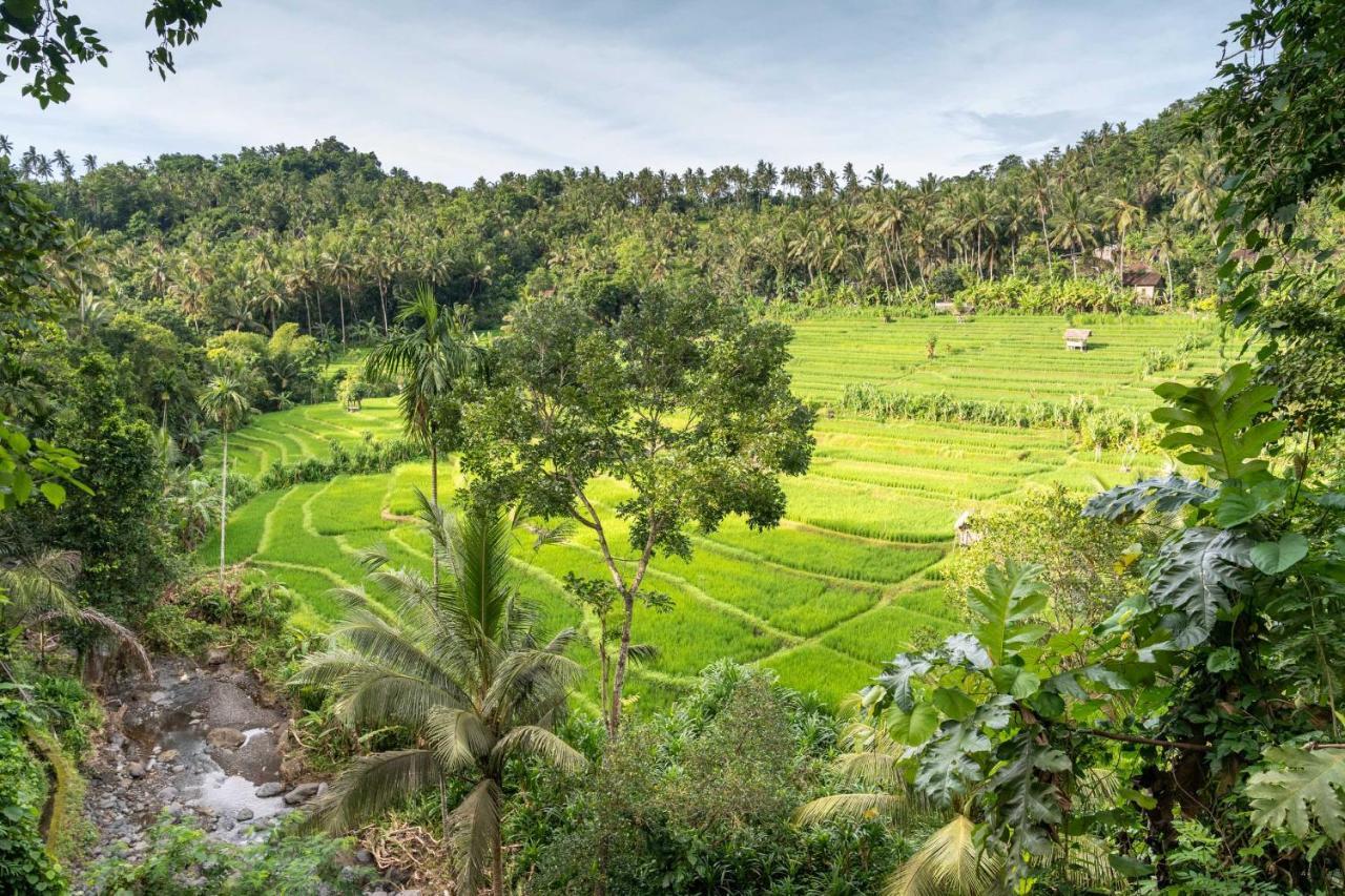 Khemah mewah Kaura Bali