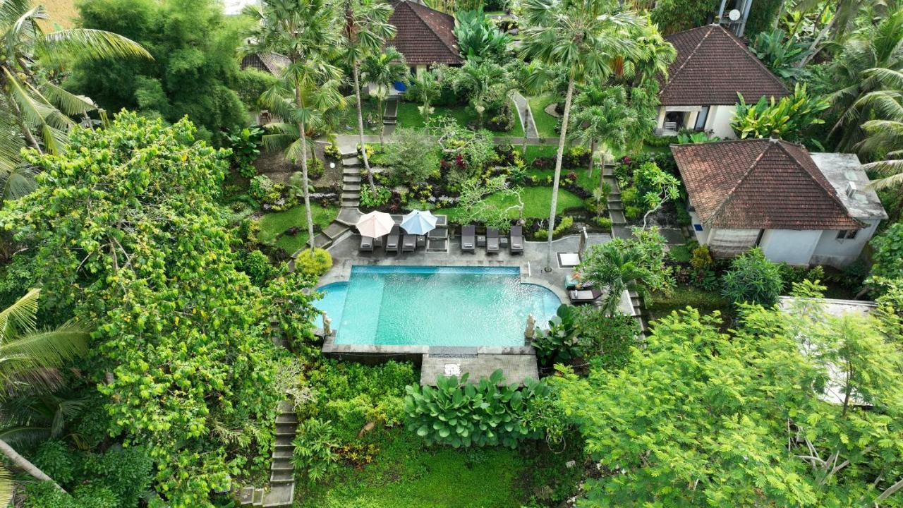 Capung Mas Ubud