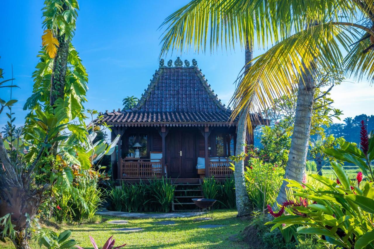 Neyang Villa Ubud (Bali)