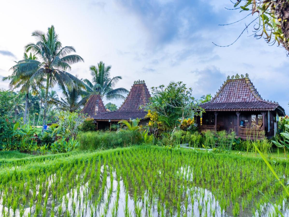 Villa Neyang