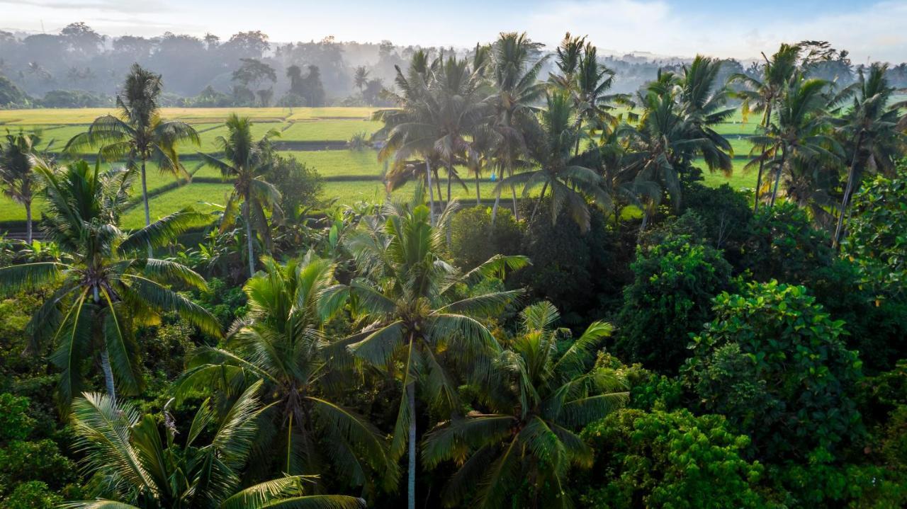 Villa Andrea By Balisuperhost Ubud (Bali)