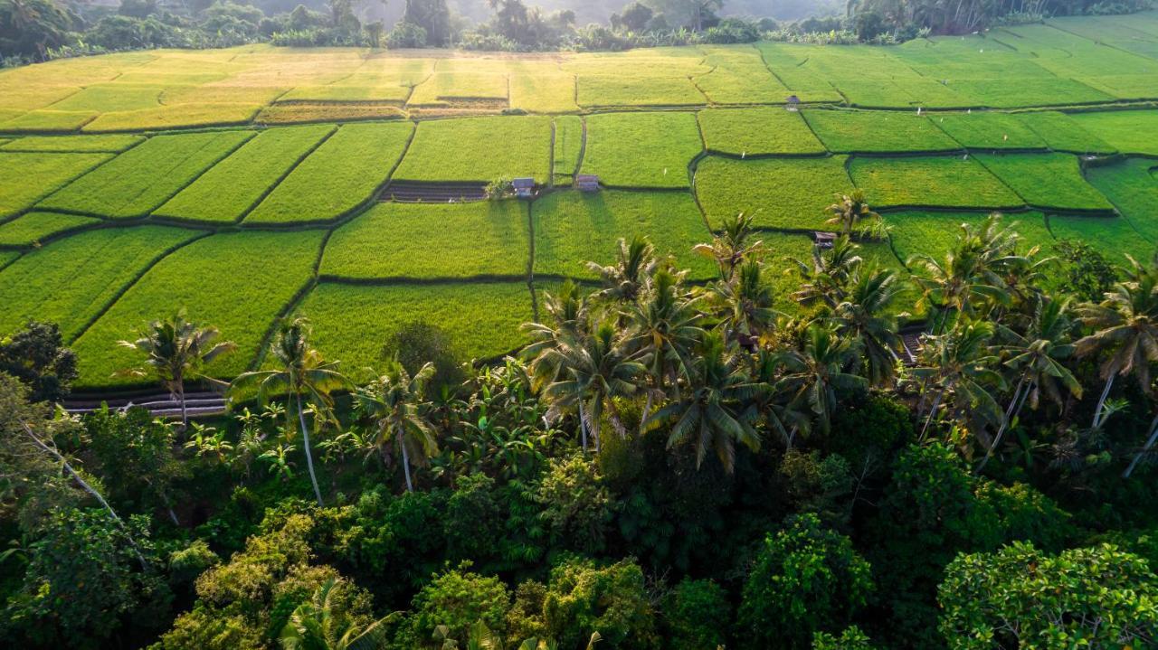 Andrea By Balisuperhost * Ubud (Bali)