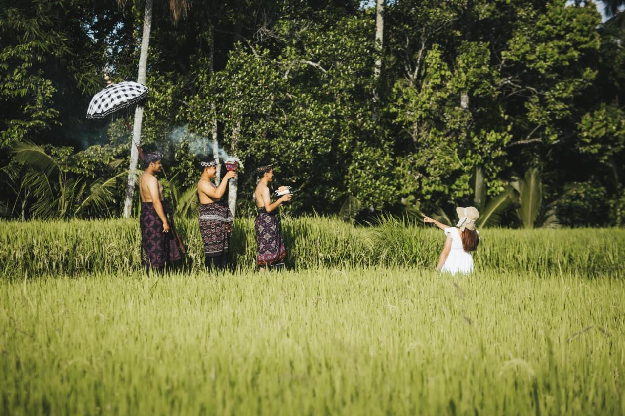 Sunshine Frühstückspension Ubud