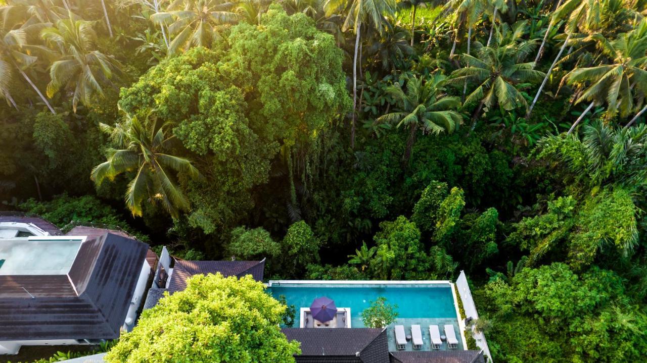 Baoli By Balisuperhost Villa Ubud (Bali)