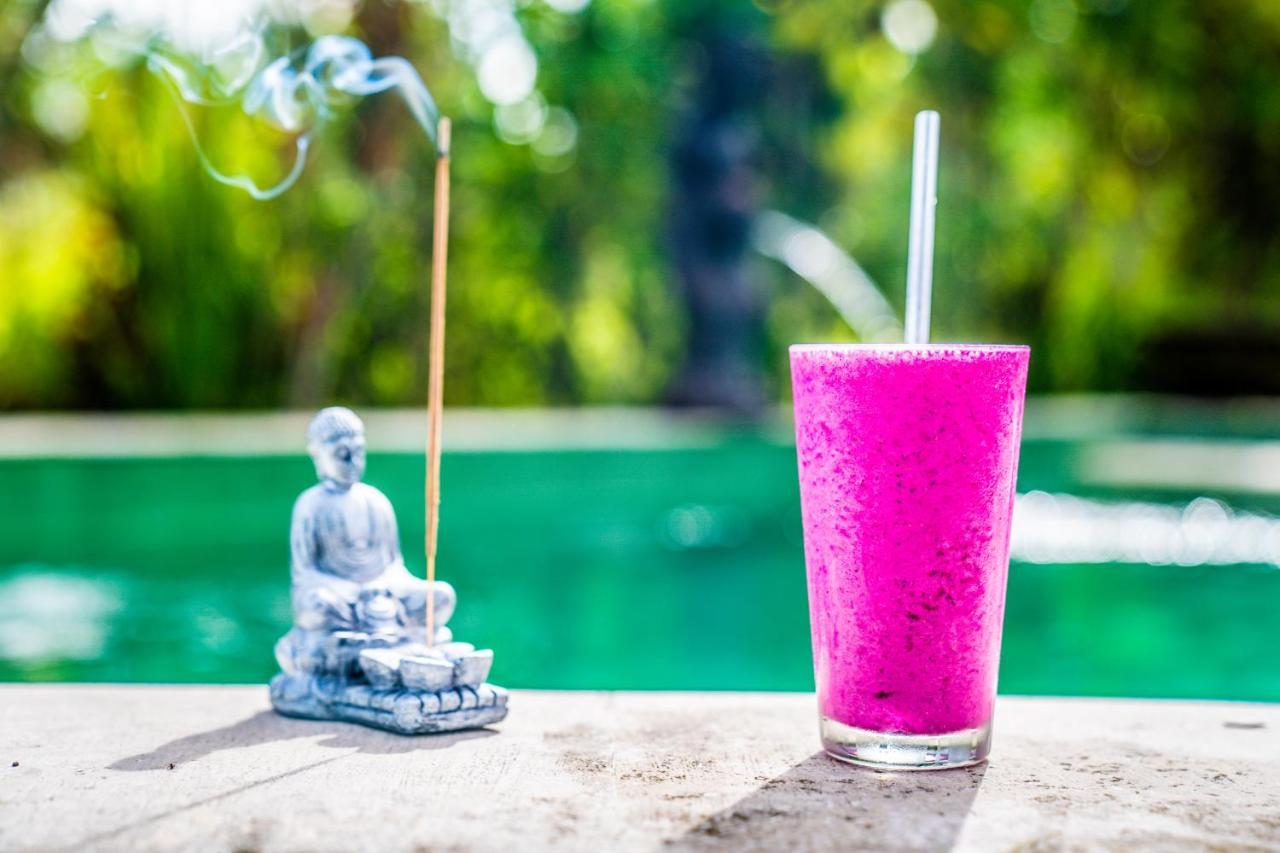 Buddha Accommodatie bij particulieren