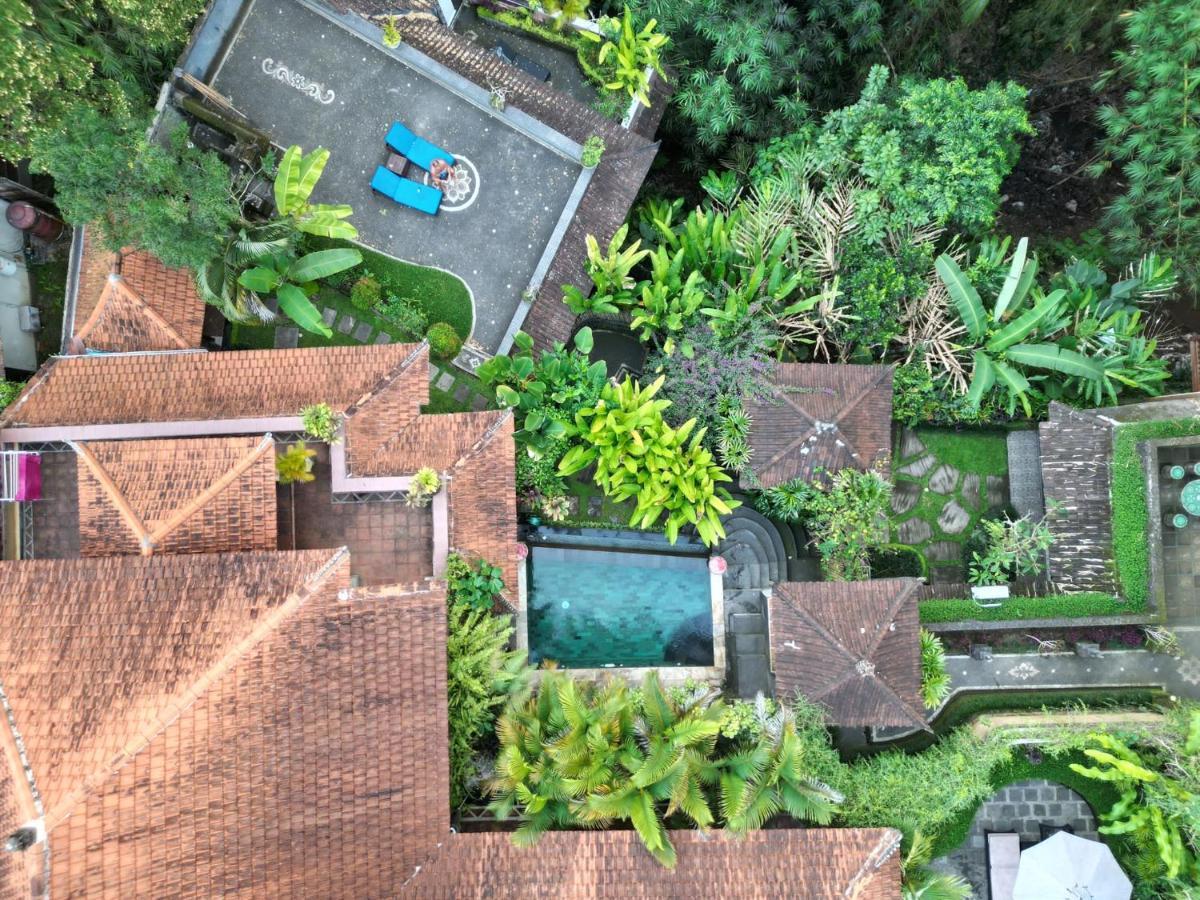 Rumah Kelinci Villa