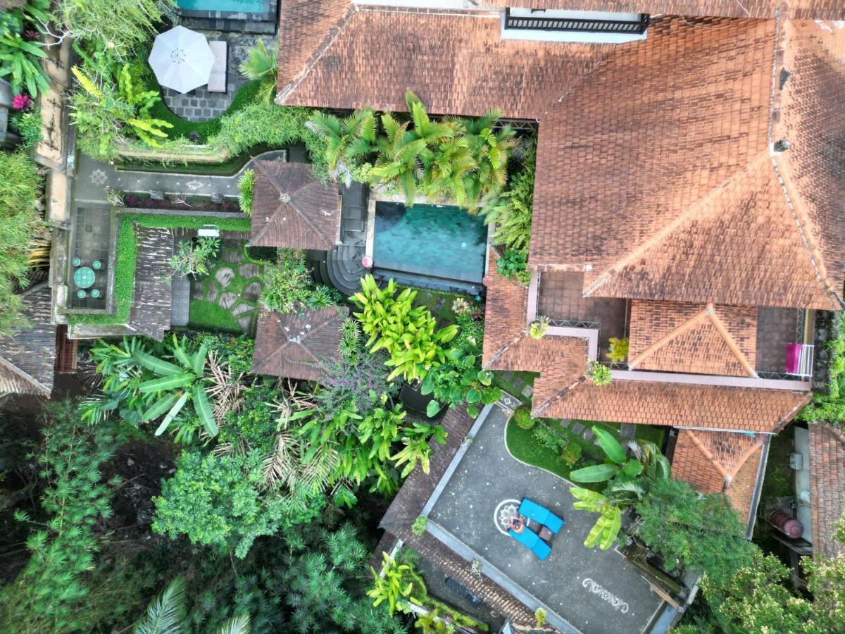Villa Rumah Kelinci