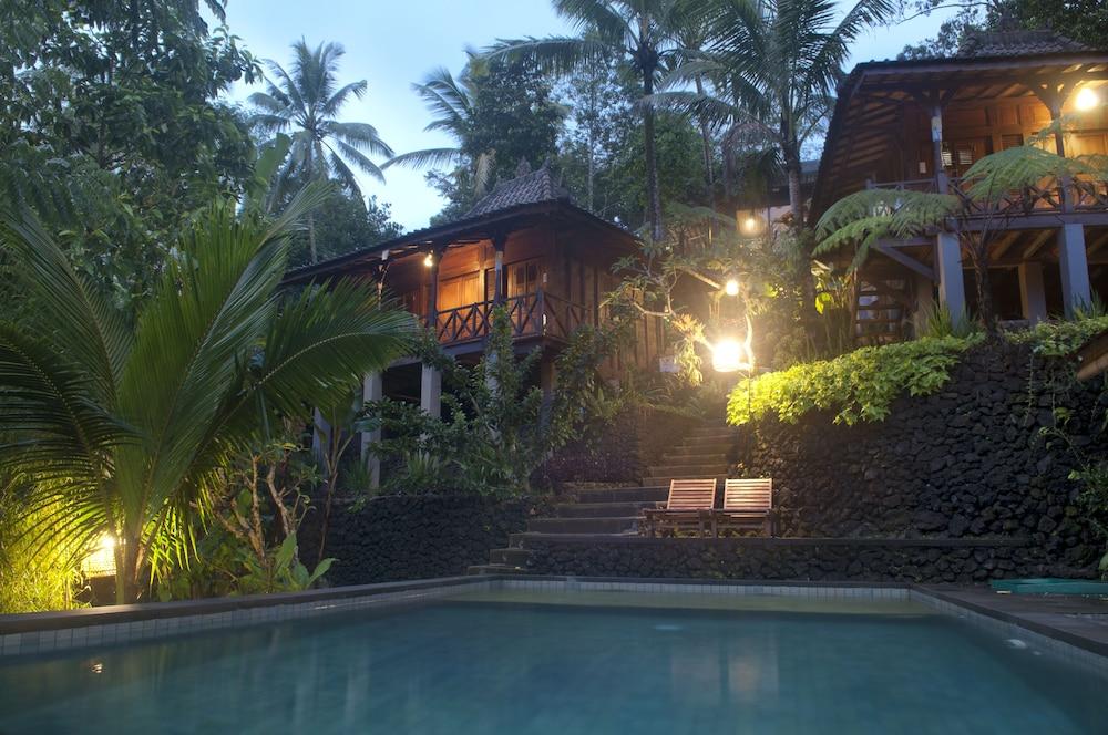 Dd Ubud Jungle Villa 3*