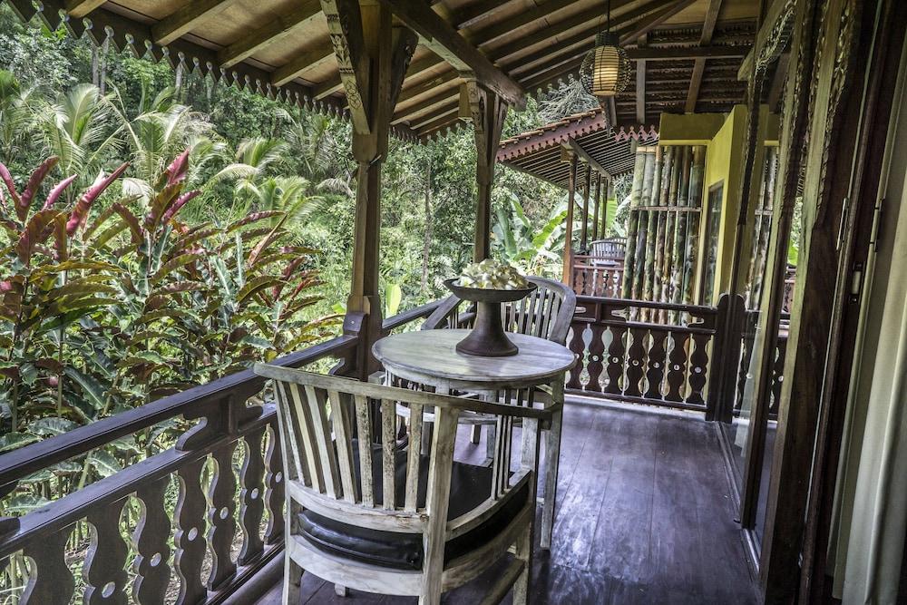 Dd Ubud Jungle Villa 3*