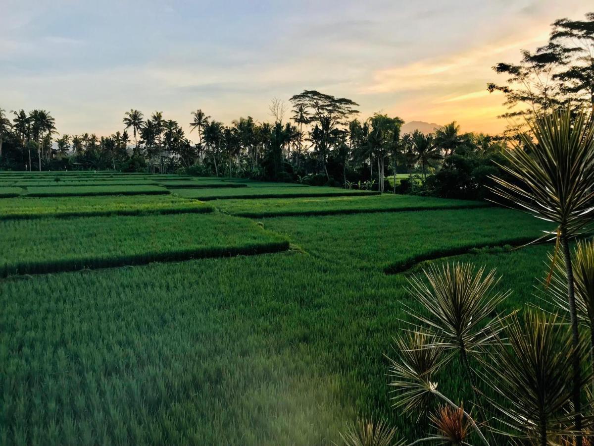 Villa Puri Ananda *