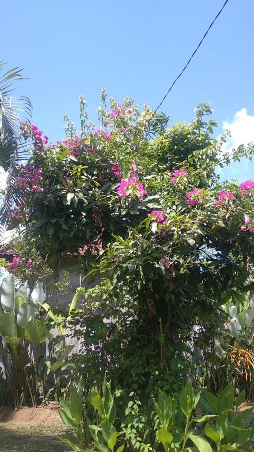 Casa de férias Paya - *