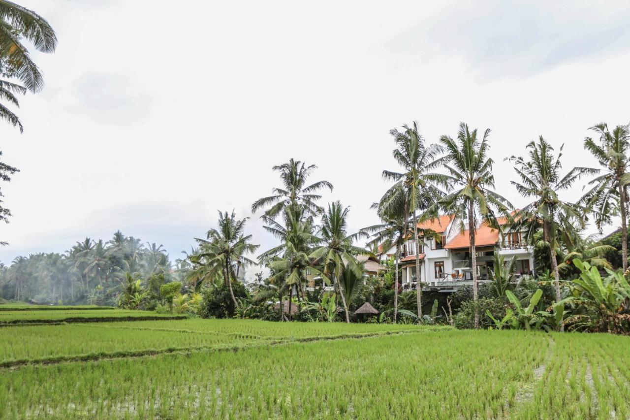 Sancita 3 Bedrooms