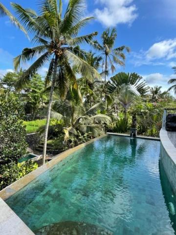 Villa Sancita 3 Bedrooms Ubud (Bali)